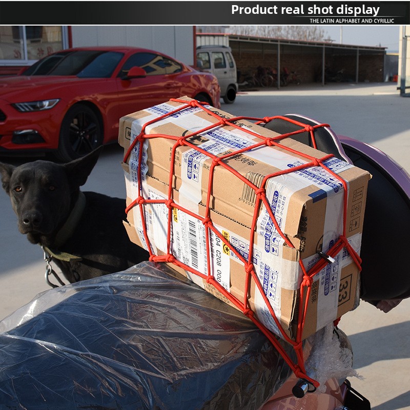 Heavy-Duty Luggage Net - Elast - مراجعة Car Cargo Net Trunk وسعره