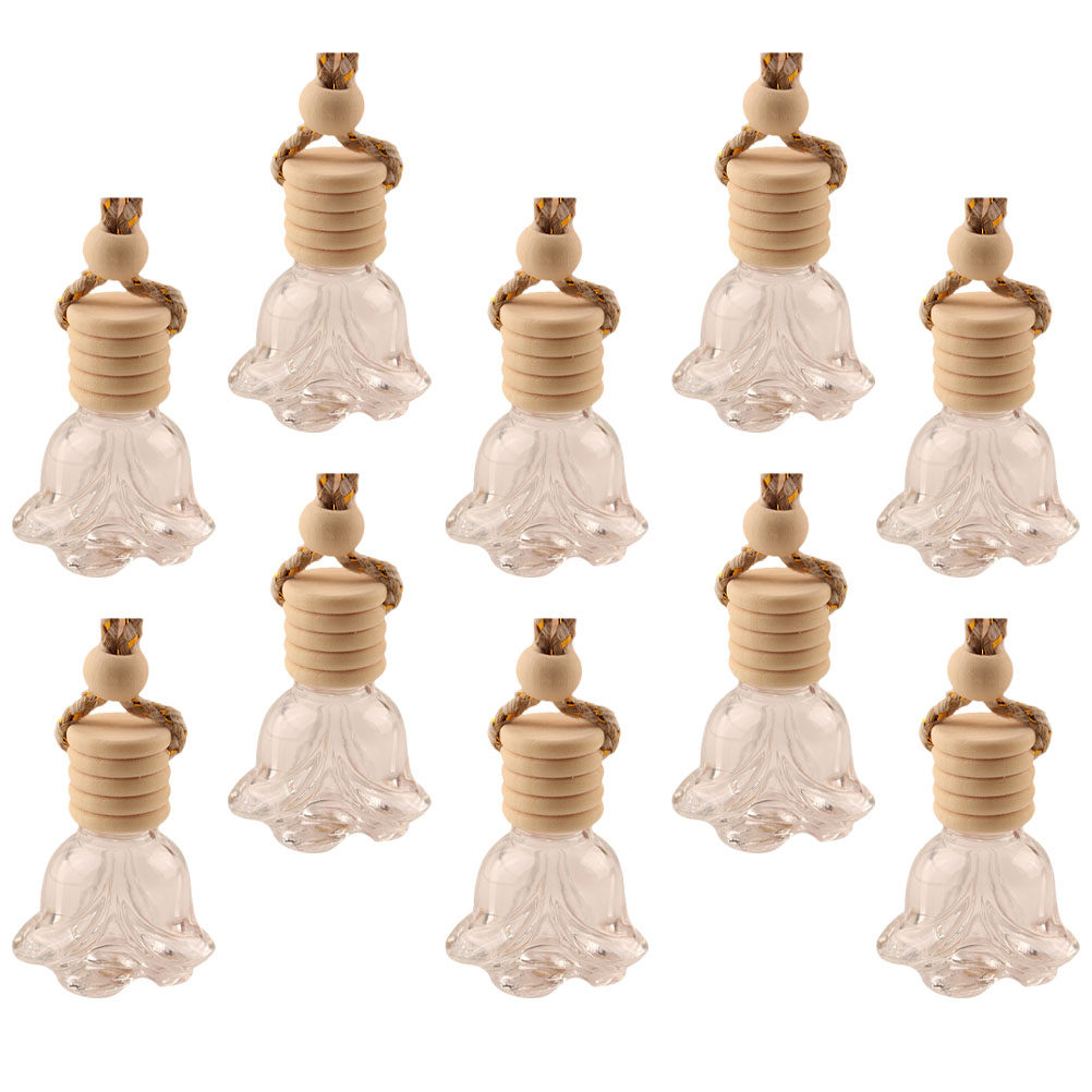 10Pcs Hanging Perfume Bottle G - مراجعة Car Accessories Hanging وسعره